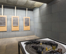 4 Guns Shooting (SAVE*ON*TRANSFER)