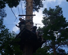 Tree High Ropes adventure (SAVE*ON*TRANSFER)